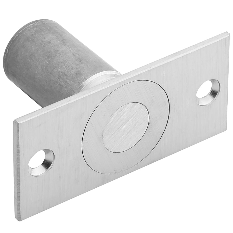 DP2 US26D Ives Hinges and Pivot